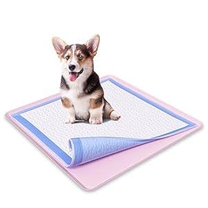 Skywin TidyFriend Dog Pee Pad Holder Tray - Fits Up to 24” x 24” Pee Pad Holder for Dogs - Stable Grip, Raised Edges, Quick-Wipe Silicone Surface Dog Pad Holder for Indoor Flooring Protection (Rose)