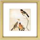 3x3 Picture Frame, Brass Metal Square Photo Frames with HD Glass, Fits 2x2 with Mat or 3 x 3 without Mat, Display for Wall and Table, 1 Pack