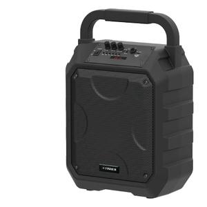 Fisher Portable Bluetooth Speaker, Black, FBX490K 