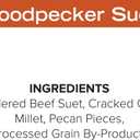 Blue Seal Nut Feast Suet Cakes for Wild Birds | No Mess Suet Feed with Variety of Nuts | Food for Woodpeckers, Cardinals, Siskins & Sparrows | Use with Suet Feeder | 11oz Seed Cake (6 Variety Pack) (EXP 06/06/27)