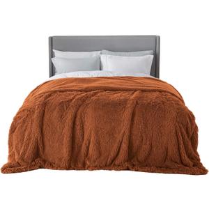 Bedsure Fluffy Burnt Orange Blankets Queen Size for Bed, Thick Sherpa Faux Fur Fleece Fuzzy Plush Winter Warm Soft Full Queen Blankets, Bedroom Decor Orange Gifts Cozy Gifts for Women Men, 90x90