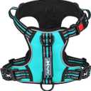 PoyPet No Pull Dog Harness, No Choke Front Clip Reflective Dog Vest with Soft Padded Vertical Handle, 3 Leash Attachments for Small Medium Large Dogs (Mint Blue,XL)