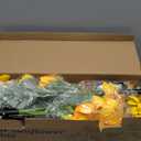 KOOPER Solar Lights Outdoor Decor - 6 Pack Solar Garden Lights with 18 Sunflower Lights, Auto ON/Off, Waterproof for Garden, Patio, Backyard