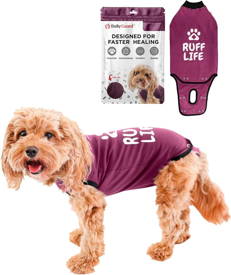 BellyGuard Recovery Suit for Dogs, Comfy Dog Surgery Suit, Female Spay and Male Neuter Onesie for Post-Op Care (Medium, Maroon)
