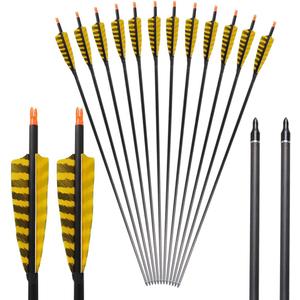 TOPARCHERY 32 Inch Carbon Archery Arrows Spine 400 with Removable Tips, 4inch Turkey Feather, Hunting and Target Practice Arrows for Compound Bow and Recurve Bow, 6 Pack (Yellow and Black)