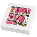 9" x 9" x 2.5" Pie Boxes, 20 Pack Auto Pop-up Chocolate Covered Strawberry Boxes White Bakery Boxes with Window for Cookies, Treats, Pastry, Breakable Heart, Donuts, Muffins