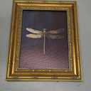Vintage Framed Dragonfly Picture Wall Art,Gothic Insect Wall Decor 9x11in | Dark Retro Farmhouse Style For Ideal For Bedroom, Study, Hallway, Office Or Entryway.
