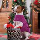 Queenmore Small Dog Sweaters, Soft Fleece Vest Pullover Dog Jacket with Leash Hole, Warm Winter Dogs Clothes Cold Weather Doggy Dachshund Sweater for Small Dogs Cats Boy or Girl (Cationic Berry, XS)