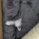 Floor to Ceiling Cat Tree, Cat Tower with Adjustable Height 98-110 Inches, 5 Tiers Tall Cat Tree Floor to Ceiling with Cozy Bed,Platforms, Sisal Scratching Posts for Cats Gray