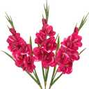 Fuchsia Gladiolus Artificial Flowers 3 Pcs Silk Flowers with Stems Fake Tropical Flower for Vase Spring Summer Indoor Decoration Faux Florals Stems Fillers for Table Centerpieces, Wedding, Home Decor