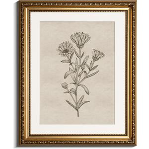 InSimSea Gold Picture Framed Wall Art, Living Room Bathroom Vintage Minimalist Botanical Pictures Wall Decor, Floral Canvas Print Art, Home Farmhouse Decor, Antique Paintings with Frames 13x16inch