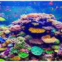 AWERT Undersea Theme Aquarium Background 30x18 inches Vinyl Colorful Coral Tropical Fish Underwater World Fish Tank Background