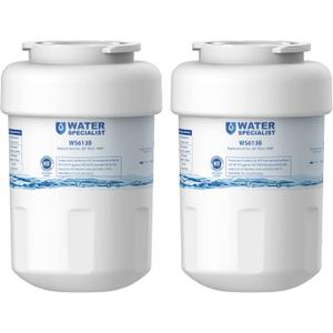 Waterspecialist WS613B Replacement for GE MWF, SmartWater MWFP, MWFA, GWF, HDX FMG-1, WFC1201, GSE25GSHECSS, PC75009, RWF1060 Refrigerator Water Filter, 2 Filters