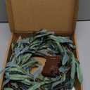 Birchlitland Lighted Olive Garland Battery Operated with Timer 6FT 96 LED Fairy Lights, Faux Vine with Lights for Mantel Fireplace Wall Patio Wedding and Holiday Decor