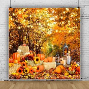 10x10ft Fall Forest Scenery Backdrop for Photography Autumn Landscape Thanksgiving Day Leaves Pumpkin Sunflower Photo Background Fall Theme Birthday Baby Shower Party Decorations Large Banner (Gold)