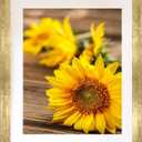 14x17 Wall Picture frame with 11x14 mat, Gold Gallery Photo Frame for Horizontal or Vertical Display