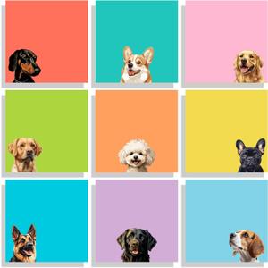 9 Pads Cute Sticky Notes Set, 3" x 3" Dog Self Stick Notepads, Funny Dog Stationery, Kawaii Adhesive Memo Pads, Dog Lover Gifts, Office Decor Desk Accessories, School Supplies