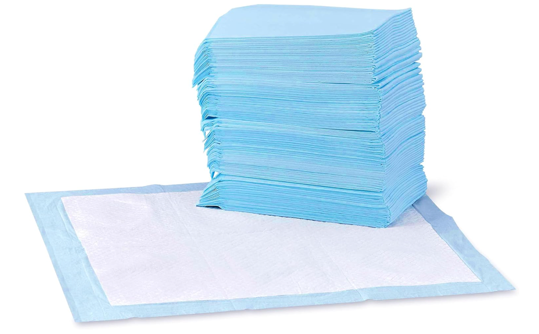 Basics LeakProof Dog and Puppy Potty Training Pee Pads with QuickDry 5Layer Super Absorbent Design, Regular Size 22 x 22 inch, Blue & White, 100 Count