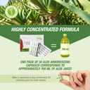 ALOEBETA Aloe Arborescens Natural Power Capsules - 100% Organic Aloe Supplement, Stimulates Immune Defenses, Antioxidant, Detoxifying - Vegan, No GMO, Gluten-Free, no Sugar