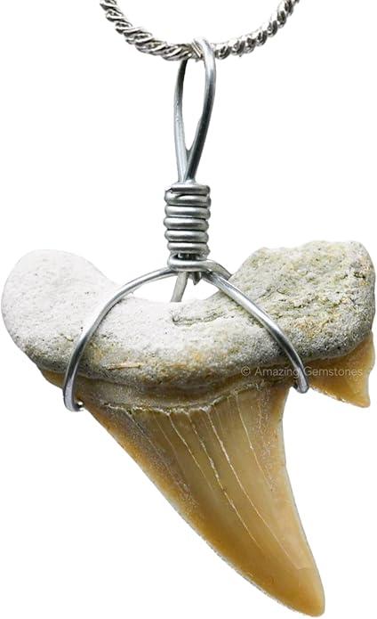 Handmade Shark Tooth Necklace