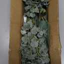 Mixed Eucalyptus Leaves Stems Bulk Artificial Eucalyptus Leaves Sprays Faux Oval Eucalyptus Leaves with White Seeds Stems for Floral Wreath Garland Bouquets Arrangement Wedding Greenery Decoration