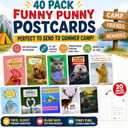 Imperial Designs 40 Pack Funny Punny POSTCARDS (4"x6") - Say I Miss You, Hello, Thank You, Thinking of You with a Fun Animal Pun by Mail - Bulk Postcards for Parents, Grandparents, Summer Camp