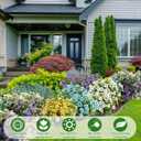 40 Bundles Artificial Fake Pansy Flowers for Outdoor Faux Silk Pansies Flowers for Outside Planter Porch Yard Patio Window Box Summer Decor(White, Yellow, Blue, Purple)