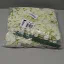 Tifuly 24 Pcs White Hydrangea Artificial Flowers Bulk, Faux Hydrangea Full Flowers Heads with Stems, Fake Silk Flowers for Wedding, Garden, Home, Party Decoration