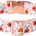Lionet Paws Dog Collar, Adjustable Cute Collar with Metal Buckle for Male Female Puppies,Summer Flower, Large, Neck 16-24 inches