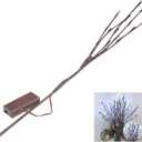 Ochine 1 Pack Led Branch Light Battery Operated Lighted Branch Vase Filler Willow Tree, Twig Lights Artificial Little Twig Power Brown 30 Inch 20 LED for Outdoor Indoor Home Decor