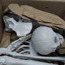 Wocst 5.4Ft/165cm Halloween Skeleton Full Body Life Size Human Bones with Movable Joints for Indoor Outdoor Halloween Props Decorations