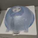 DENFANY Hair Steamer, 2 in 1 Hair and Face Steamer for Natural Hair with UV Ozone, Face Steamer Hair Humidifier Moisturising Hydration System Sprayer for Personal Care Use at Home and Salon (Light Blue)