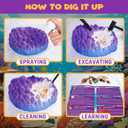 PIBEX Ocean Fossil Dig Kit, Dig up 20+ Real Shells & Seasnails, STEM Educational Activity Set Sea Creatures Excavation Toy for Kids, Marine Biology Geology Science Kit, Gift for Boys and Girls Age 6+