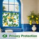 Window Film, Frosted Privacy, One Way Tint, UV Block, Heat Insulation, Anti-Glare, Static Cling, Renter Friendly for Home Bathroom Door, 35.5*78.5