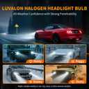 H11 Halogen Headlight Bulbs, 12V 55W H11 Headlight Bulbs, High Beam, Low Beam and Fog Light Replacement, Automotive Headlight Bulbs, No Glare, Super Bright, 2 Pack