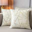 YONGLIU Set of 2 Velvet Cushion Cases Decorative Gold Foil Geometric Pattern Ultra-Soft Square Throw Pillow Covers for Modern Homes Couch Sofa Bedroom Living Room Car Chair(Off White, 20"X20")