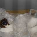 Cat Tree 32 Inches Small Cat Tree for Large Cats Adult Cat Tower with Scratching Post,15.7Large Hammock and Self Groomer, and Removable Top Perch and Wide Condo for Indoor Cats-Beige