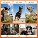 GPS Wireless Dog Fence System, Electric Dog Fence Using GPS Electric Satellite Technology, IPX7 Waterproof Rechargeable Design, GPS Dog Collar Has 2 Modes Circular and Free-Form Fence