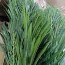 Giegxin 2 Pack 7 ft Artificial Palm Tree for Outdoor Tall Faux Tropical Triple Phoenix Palm UV Resistant Fake Plants in Pot for Outside Indoor Patio Pools Home Garden Office Porch Aesthetic Decor