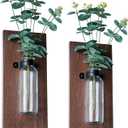 2 Pack Wood Glass Wall Vases and Plants Artificial, Indoor Wood Hanging Vase, Modern Farmhouse Wall Decor for Bathroom Office and Living Room, Farmhouse Sconces Wall Decor (Brown)