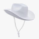 COLLECT PRESENT Plain Felt Cowboy & Cowgirl Hat for Men, Women, and Teens | Western Studded Cowboy Hat in Adult Sizes