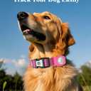 WhoseID Reflective Dog Collar with AirTag Holder,Adjustable Dog Collar with Neoprene Padded & Anti-Lost QR Code Buckle (Rose, Large)