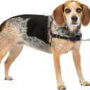 PetSafe Easy Walk No-Pull Dog Harness - The Ultimate Harness to Help Stop Pulling - Take Control & Teach Better Leash Manners - Helps Prevent Pets Pulling on Walks, Small/Medium, Black/Silver