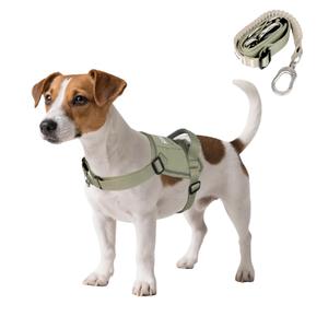 Heavy Duty Dog Control Vest with Leash Set,Placing Tracker Pocket,Adjustable Dog Harness Easy Control Prevent Chafing Pet Vest for Training, Walking, Hiking (Large)