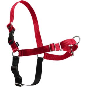 PetSafe Easy Walk Harness for Dogs - Pull-Free Walks - Patented Martingale Loop Design - Front Chest Leash Attachment - Comfort Straps - Breathable Harness Design - Small, Red/Black