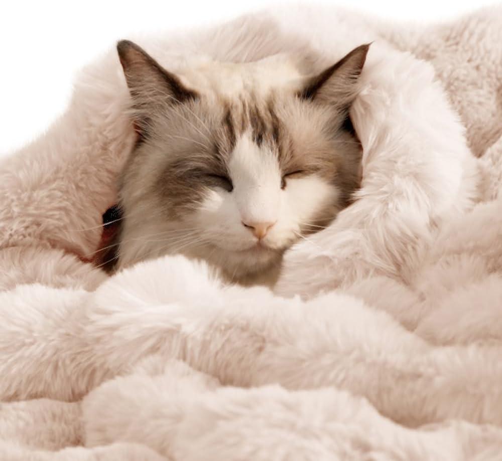 Cat Blanket for Indoor Cats Ultra Soft Plush Faux Fur Kitten Blankets Machine Washable Reversible Pet Throw Protector for Couch Furniture 21"X 18" White