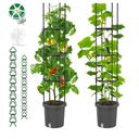 2 Pack Raised Garden Bed Tomato Planter with Trellis, Self Watering Planter Box with Trellis for Climbing Plants Outdoor, PE Coated Metal Tomato Cage Plant Support for Flowers Vegetable Indoor