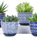 Selamica Ceramic Plant Pots, 4.6 Inch Flower Pots for Indoor Plants, Succulent Pots with Drainage Hole & Saucer, Succulent Planters for Succulent Cactus, Home Decor, Set of 4, Vintage Blue