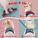Rabbitgoo Dog Harness Small Sized and Leash Set, Step-in Breathable Pet Harness, Soft Walking Reflective Puppy Vest for Small Dogs, Red & Teal, S