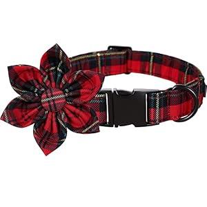 Lionet Paws Christmas Dog Collar with Flower, Dog Flower Collar with Metal Buckle for Dogs, Adjustable Comfortable Dog Collar Girl Gift, L, Neck 16-24 in